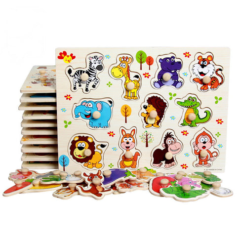Educational Hand Grasp Wooden Puzzle