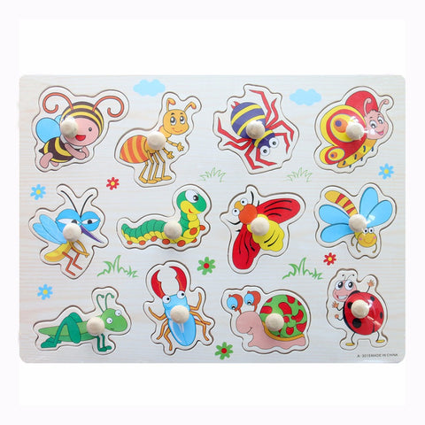 Educational Hand Grasp Wooden Puzzle