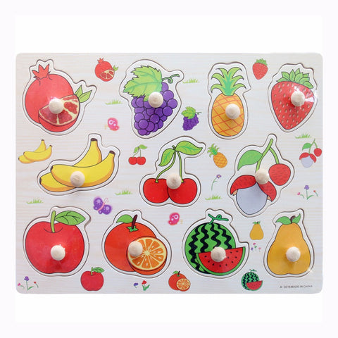 Educational Hand Grasp Wooden Puzzle