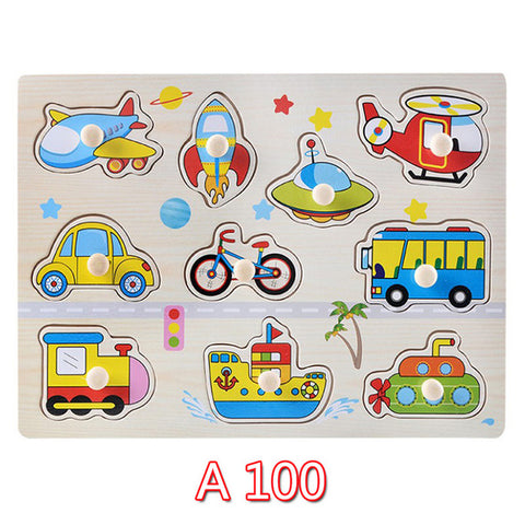 Educational Hand Grasp Wooden Puzzle