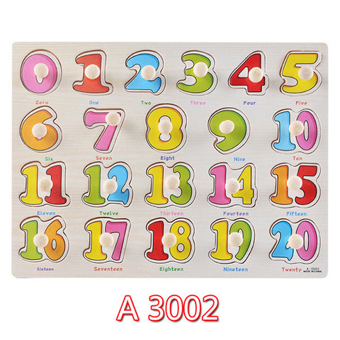 Educational Hand Grasp Wooden Puzzle