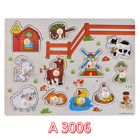 Educational Hand Grasp Wooden Puzzle