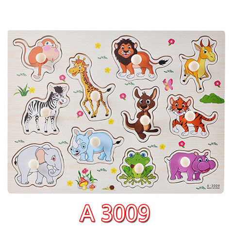 Educational Hand Grasp Wooden Puzzle