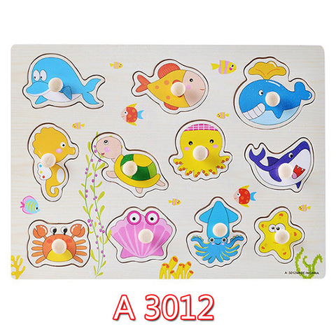 Educational Hand Grasp Wooden Puzzle