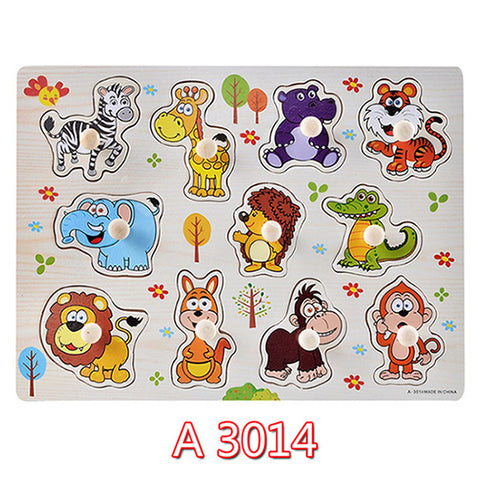 Educational Hand Grasp Wooden Puzzle