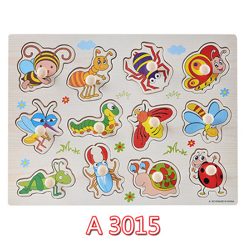 Educational Hand Grasp Wooden Puzzle