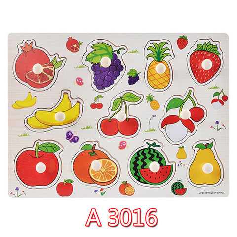 Educational Hand Grasp Wooden Puzzle