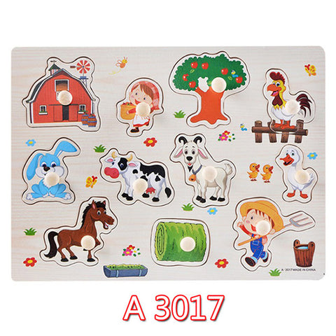 Educational Hand Grasp Wooden Puzzle